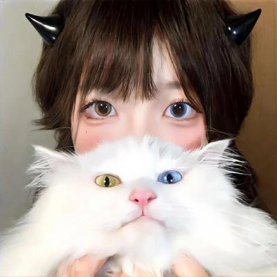 囧贼